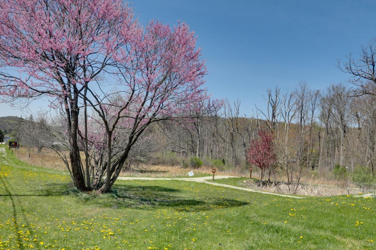 Pet-Friendly Pennsylvania Vacation Rental With Pool! Laughlintown Εξωτερικό φωτογραφία